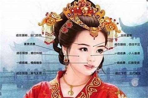 獅子鼻女人|【獅子鼻女人】獅子鼻女人的面相命理解析：事業心強、愛情專一。